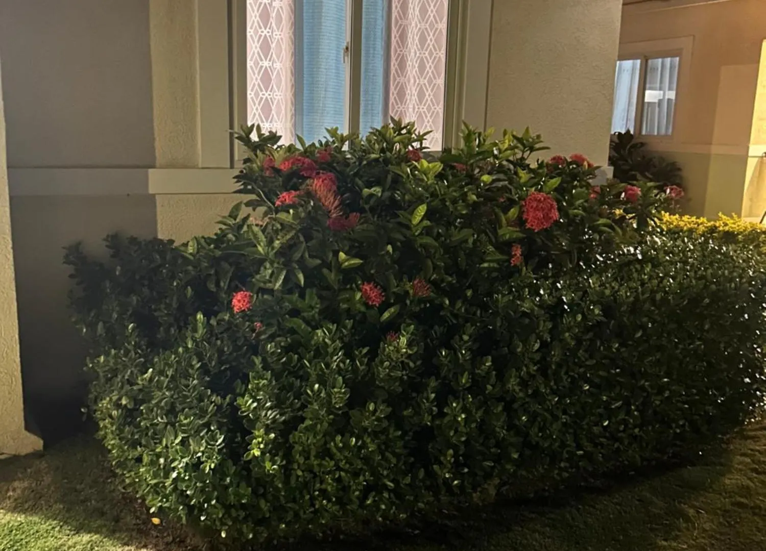 Oceanpointe Villa 루세아 0*,  자메이카